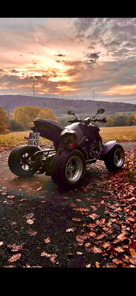 Weitere Motorräder Quad Bashan bs 300 S 2009 — photo 7