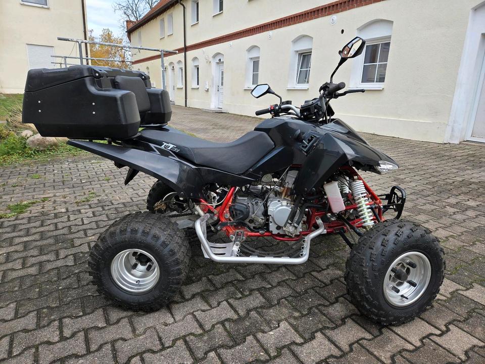 Weitere Motorräder Quad Triton Access SP300-S 2010 — rear view