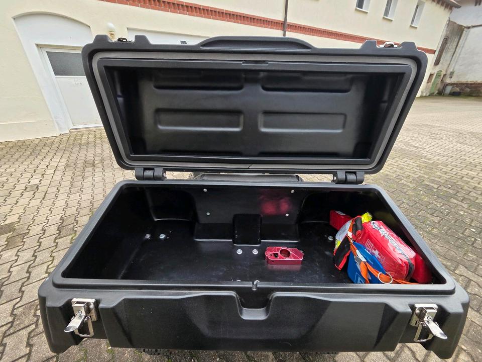 Weitere Motorräder Quad Triton Access SP300-S 2010 — interior