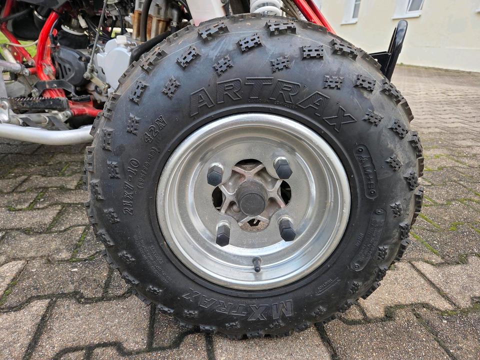 Weitere Motorräder Quad Triton Access SP300-S 2010 — photo 6