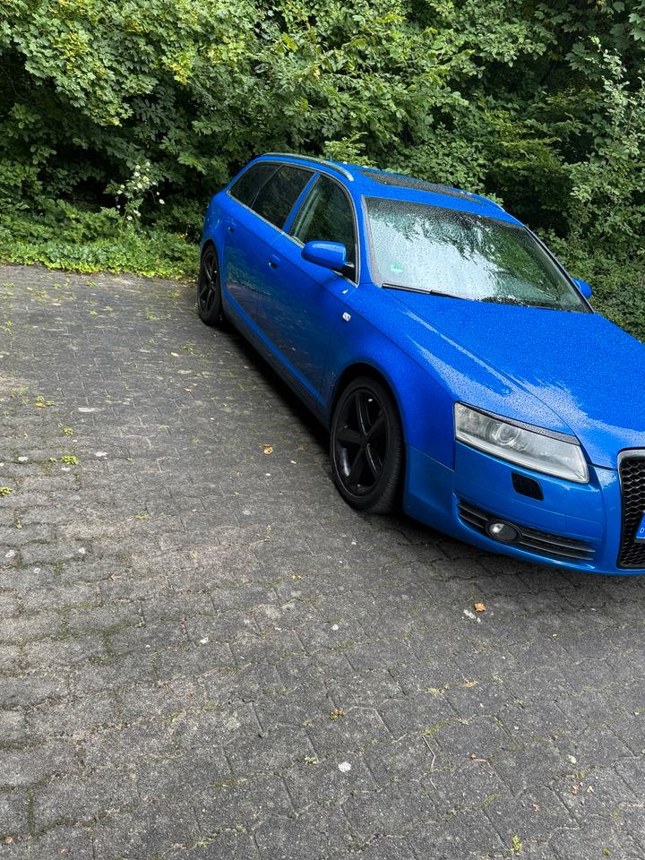 Audi A6 2005 — вигляд ззаду