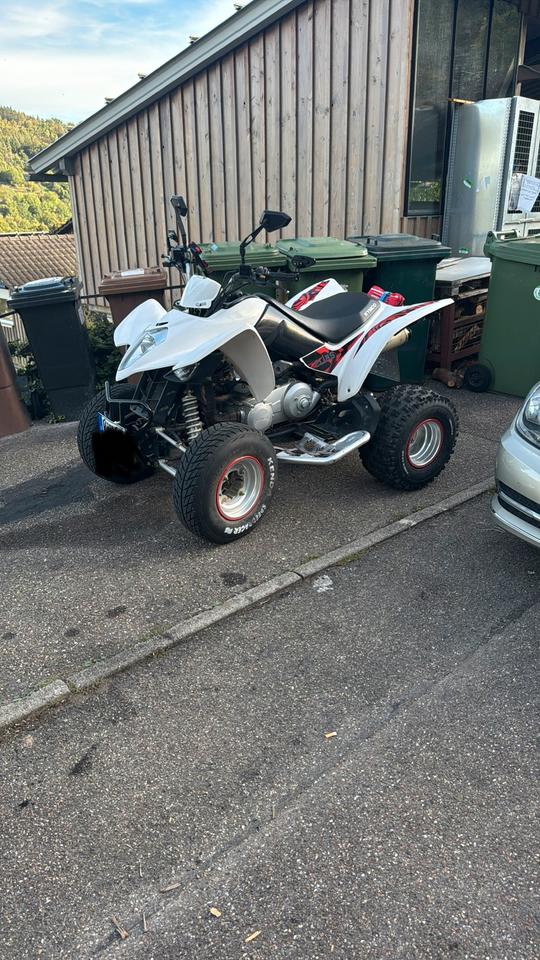 Kymco Maxxer 250 Quad, Bj. , neue Achse & Vergaser 2008 — rear view
