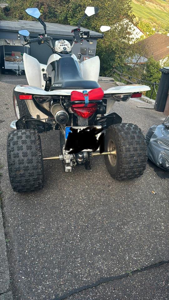 Kymco Maxxer 250 Quad, Bj. , neue Achse & Vergaser 2008 — engine 250 ccm