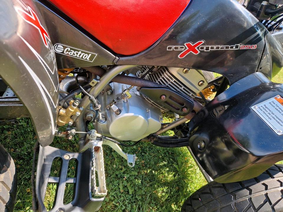  Rex Quad 250ccm - Nur 3500 KM - BJ 2007 — photo 8
