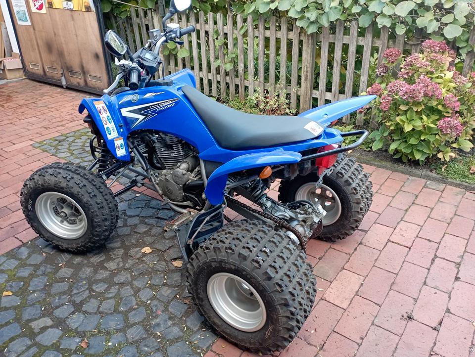 Yamaha Raptor Quad 250 2011 — rear view