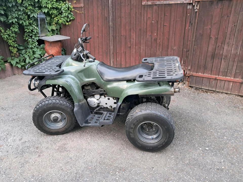  Quad MZ Bison 175 2005 — rear view