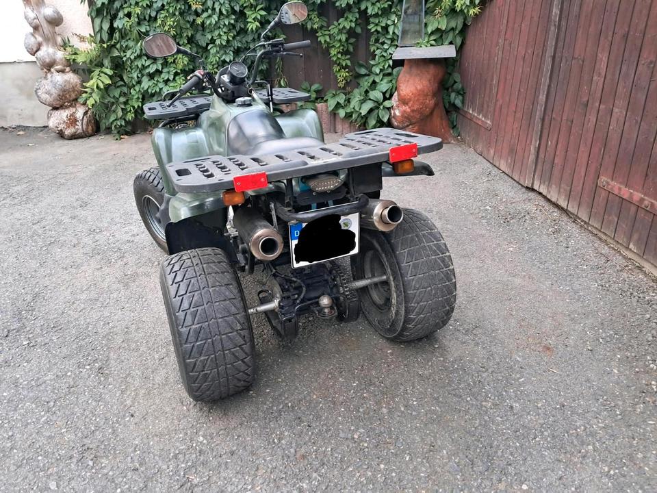  Quad MZ Bison 175 2005 — interior