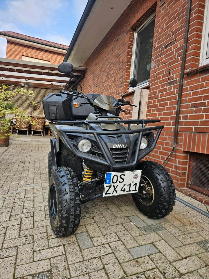 Weitere Motorräder Gelöscht • Quad Dinli 300 ccm 2004 — вигляд ззаду