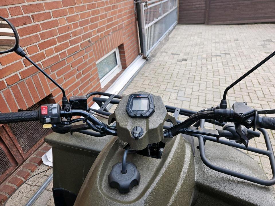 Weitere Motorräder Gelöscht • Quad Dinli 300 ccm 2004 — салон