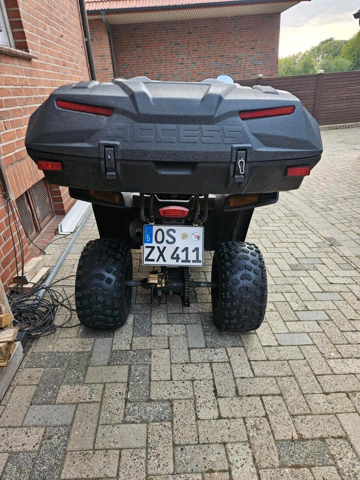 Weitere Motorräder Gelöscht • Quad Dinli 300 ccm 2004 — двигун 270 ccm
