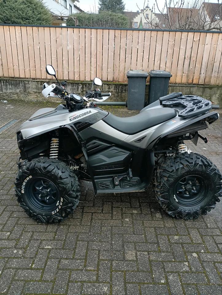 Weitere Motorräder Quad 4x4 ,,herkules kingcobra 500 efi. LOF 2010 — rear view