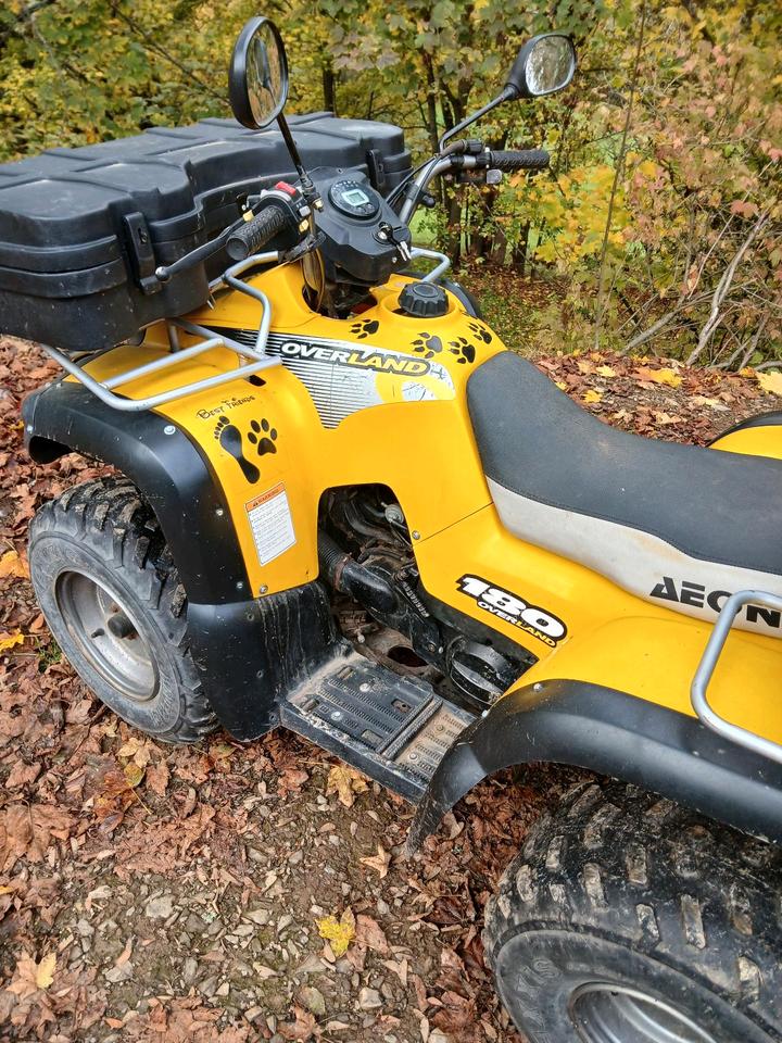  Aeon Overland 180 Quad ATV Kinderquad 2004 — rear view