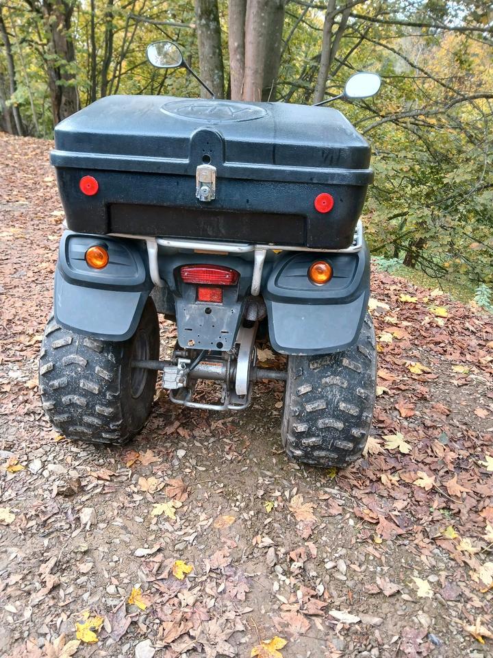  Aeon Overland 180 Quad ATV Kinderquad 2004 — photo 5