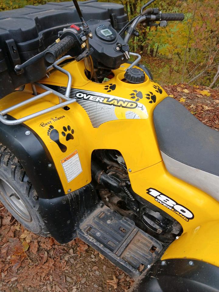  Aeon Overland 180 Quad ATV Kinderquad 2004 — photo 7