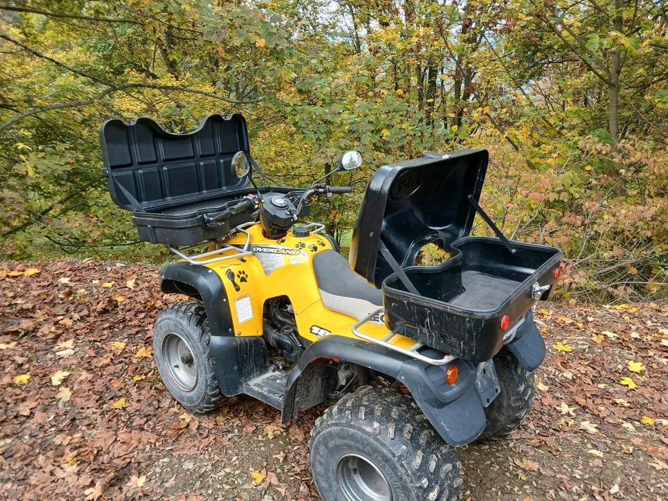  Aeon Overland 180 Quad ATV Kinderquad 2004 — photo 8