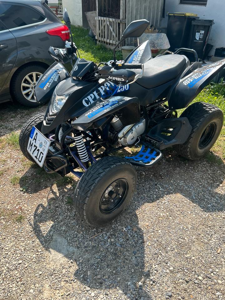Weitere Motorräder cpi Quad xs 250 2009 — фото 6