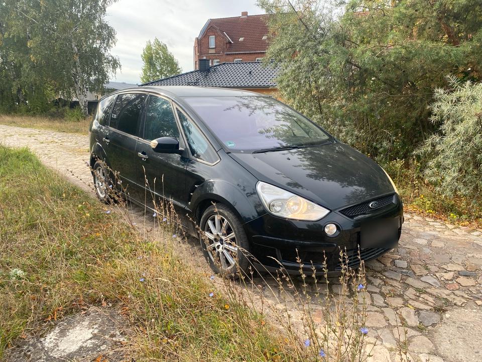 Ford S-Max 2010 — rear view