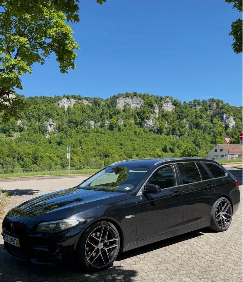 BMW 520 2011 — вигляд ззаду