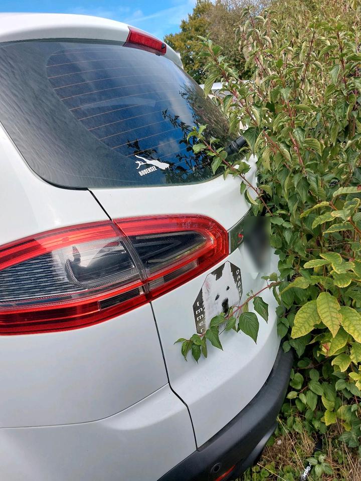 Ford S-Max 2011 — photo 7