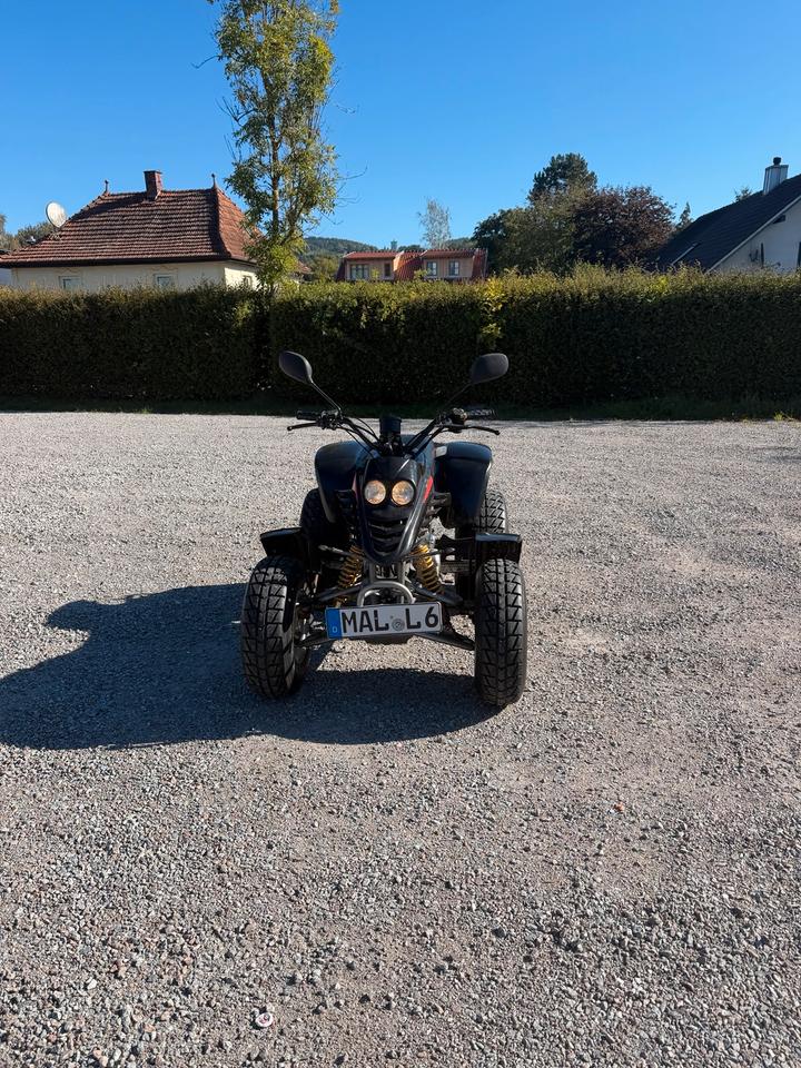 Weitere Motorräder Gelöscht • Quad SMC R170 2005 — вигляд ззаду