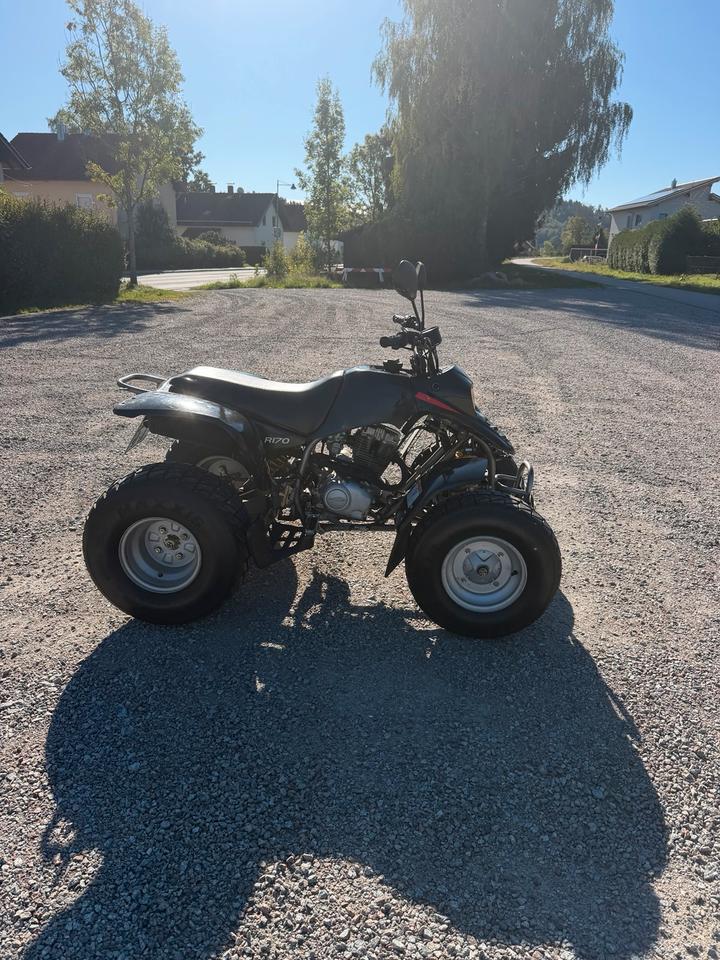 Weitere Motorräder Gelöscht • Quad SMC R170 2005 — двигун 164 ccm