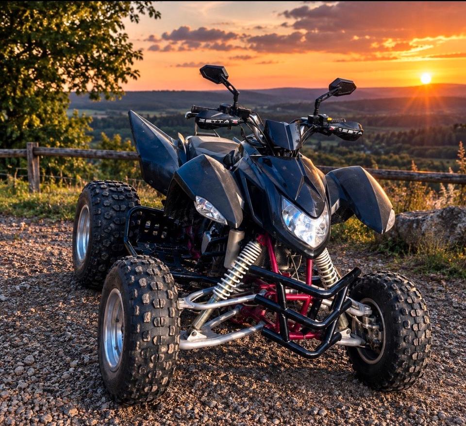 Weitere Motorräder Accra Triton 300, 2011
