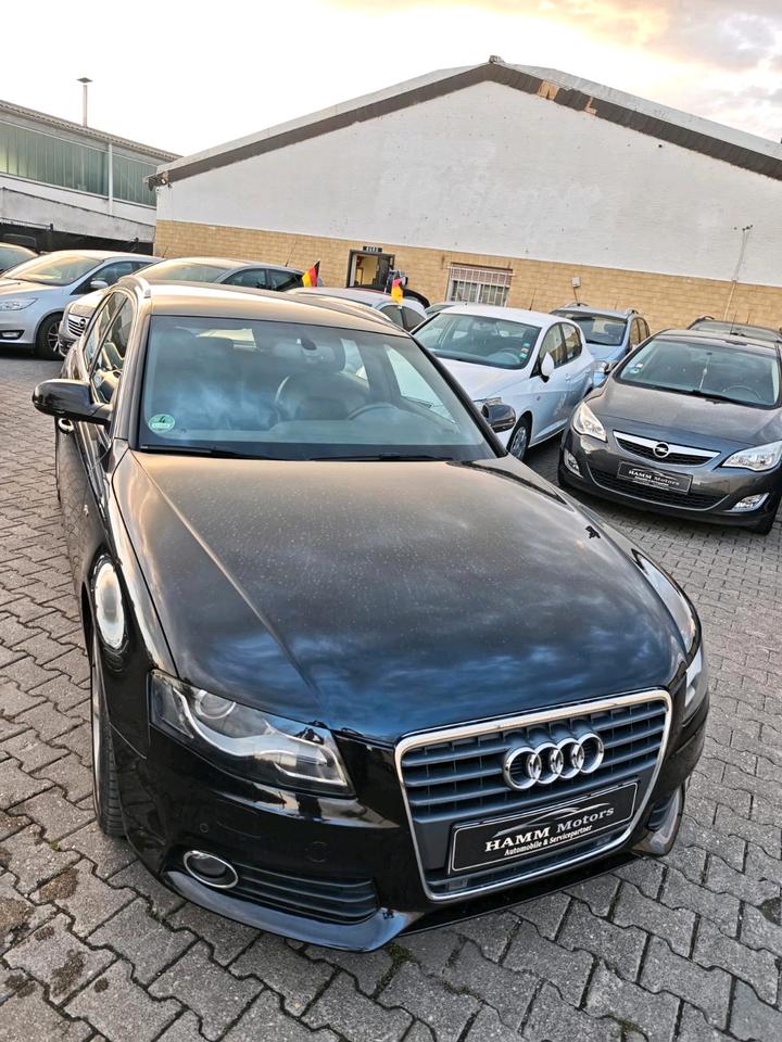 Audi A4 2010 — вигляд ззаду