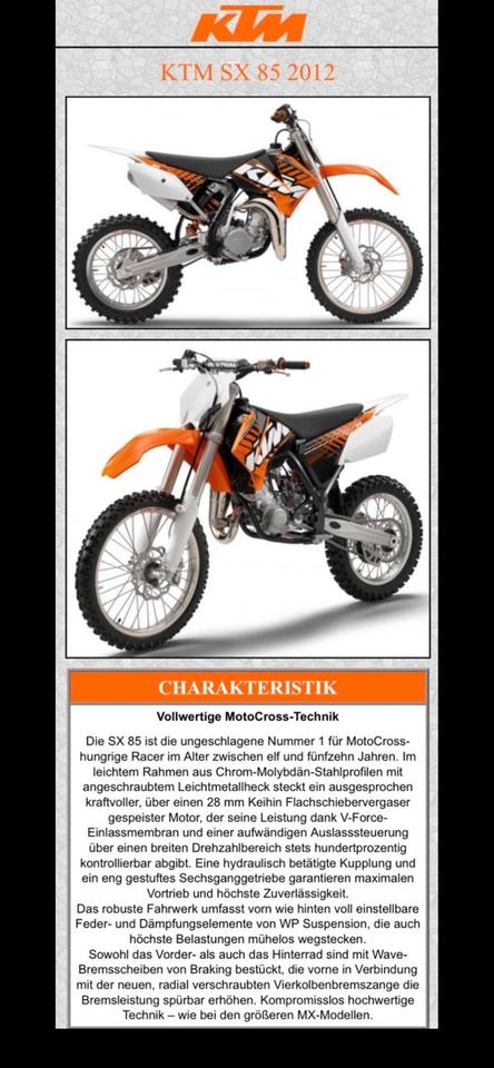 KTM 85 SX WSP Racing Sidecar MX Enduro Motocross Gespann Kinder 2012 — фото 13