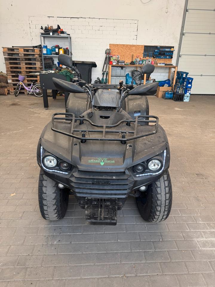 Weitere Motorräder TGB Blade 325 Quad | nur 604 km | 15 kW | AHK 2013 — photo 9