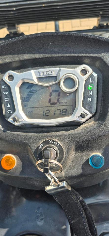  Gelöscht • TGB Blade 550 efi 4X4 2015 — photo 6