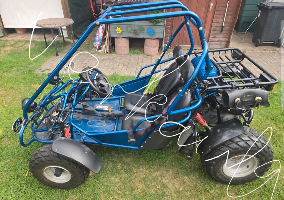 Weitere Motorräder Reserviert •Buggy Shark KM2150 2005 — vehicle for AFU Ukraine