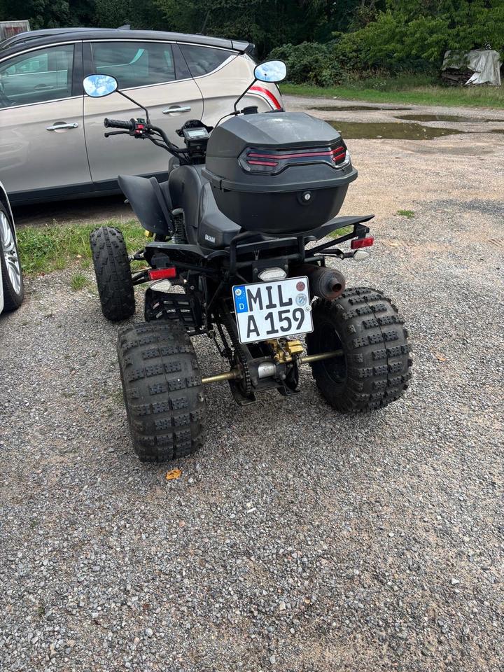 Weitere Motorräder Quad Bashan 2012 — engine 229 ccm