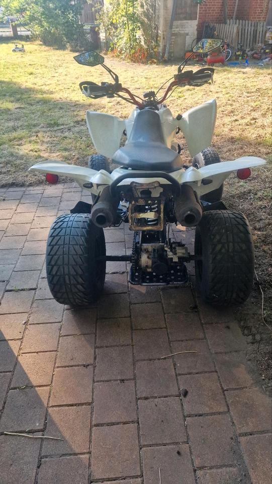 Weitere Motorräder Gelöscht • Quad cpi 250 2009 — rear view