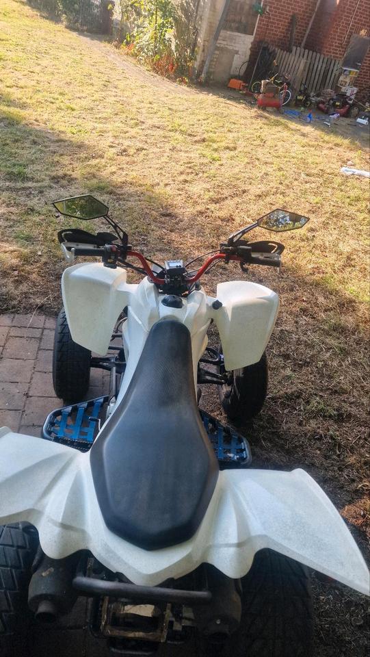 Weitere Motorräder Gelöscht • Quad cpi 250 2009 — engine 250 ccm
