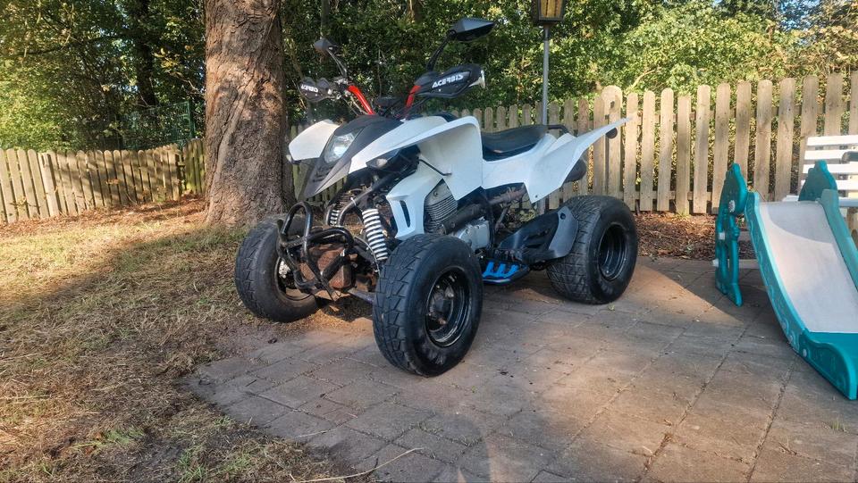 Weitere Motorräder Gelöscht • Quad cpi 250 2009 — photo 5