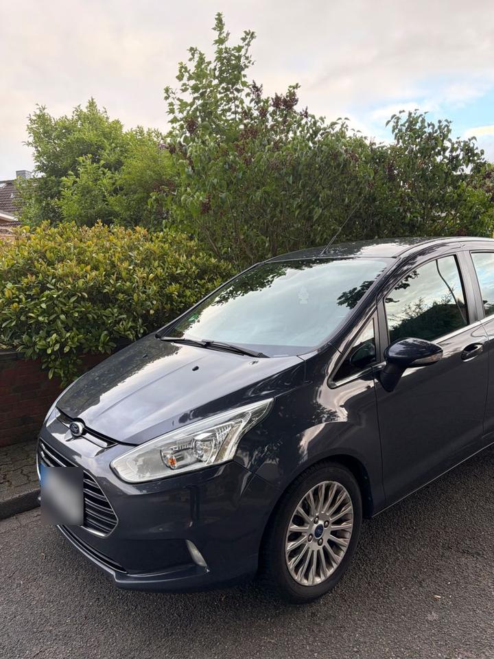 Ford B-Max 2014 — вигляд ззаду