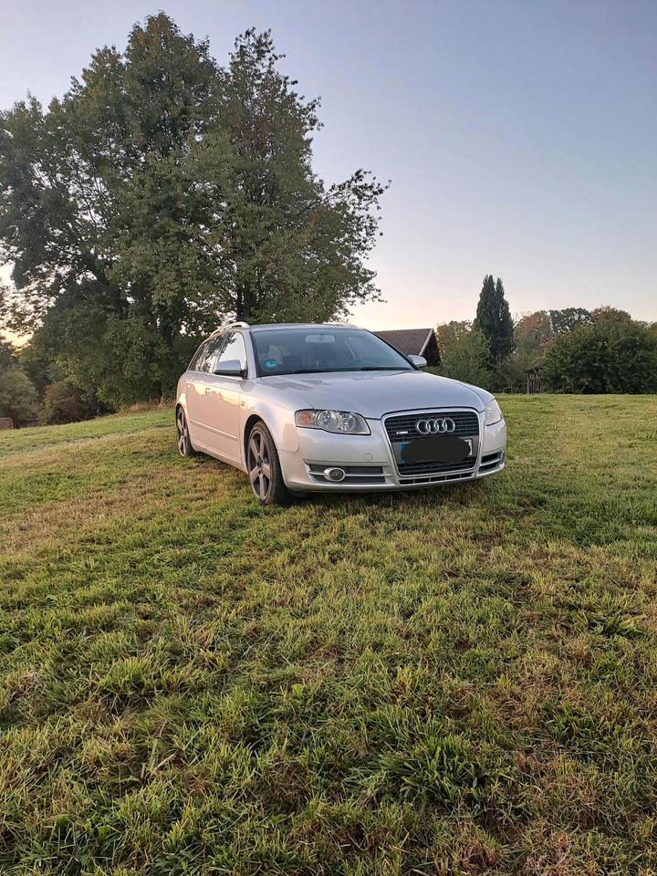 Audi A4 2005 — вигляд ззаду