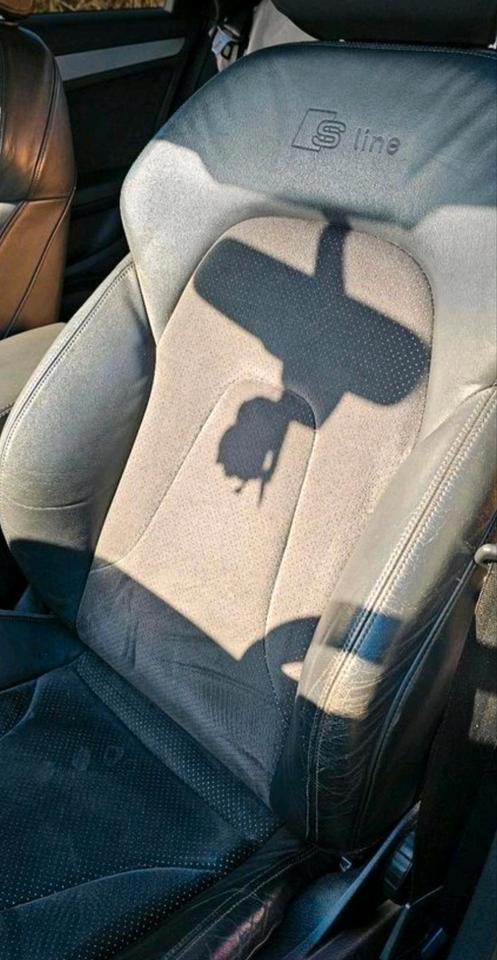 Audi A4 2009 — photo 18