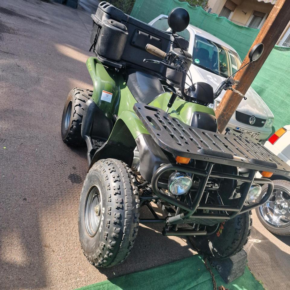  Quad Motortek MT 175 2004 — двигун