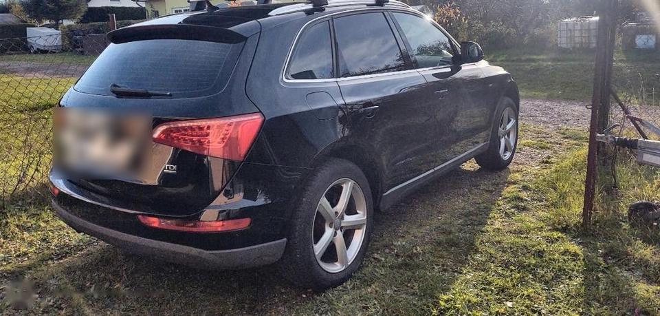 Audi Q5 2010 — photo 5