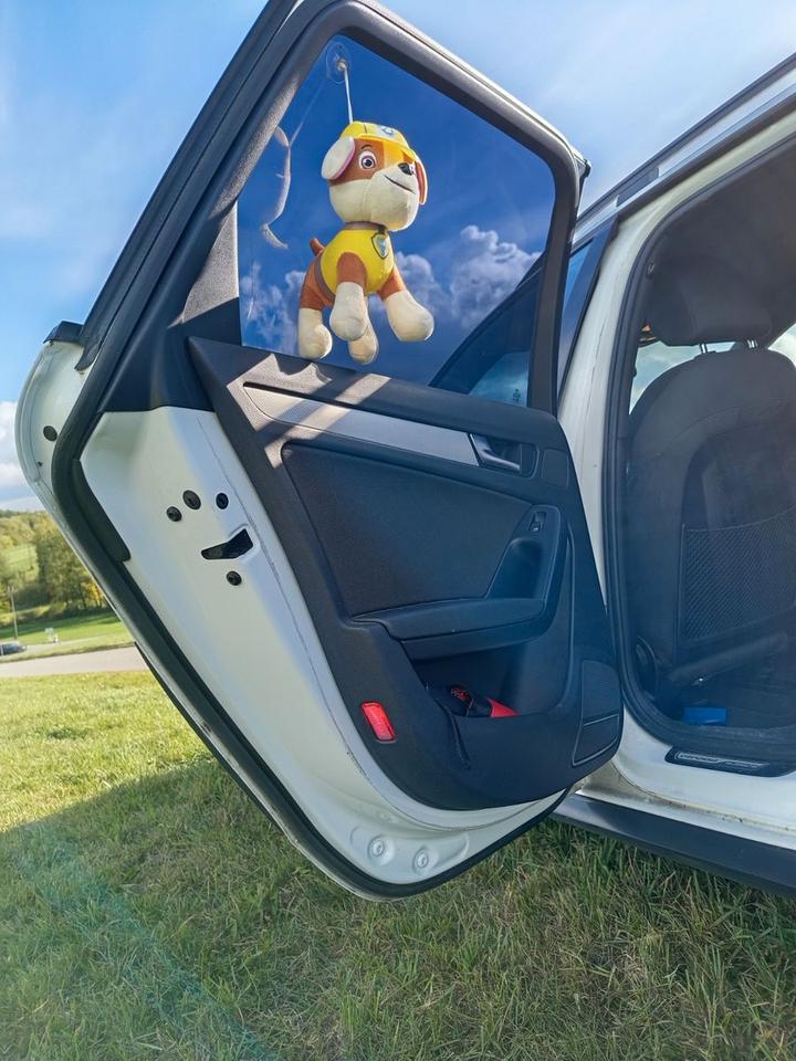 Audi A4 Allroad 2010 — photo 13