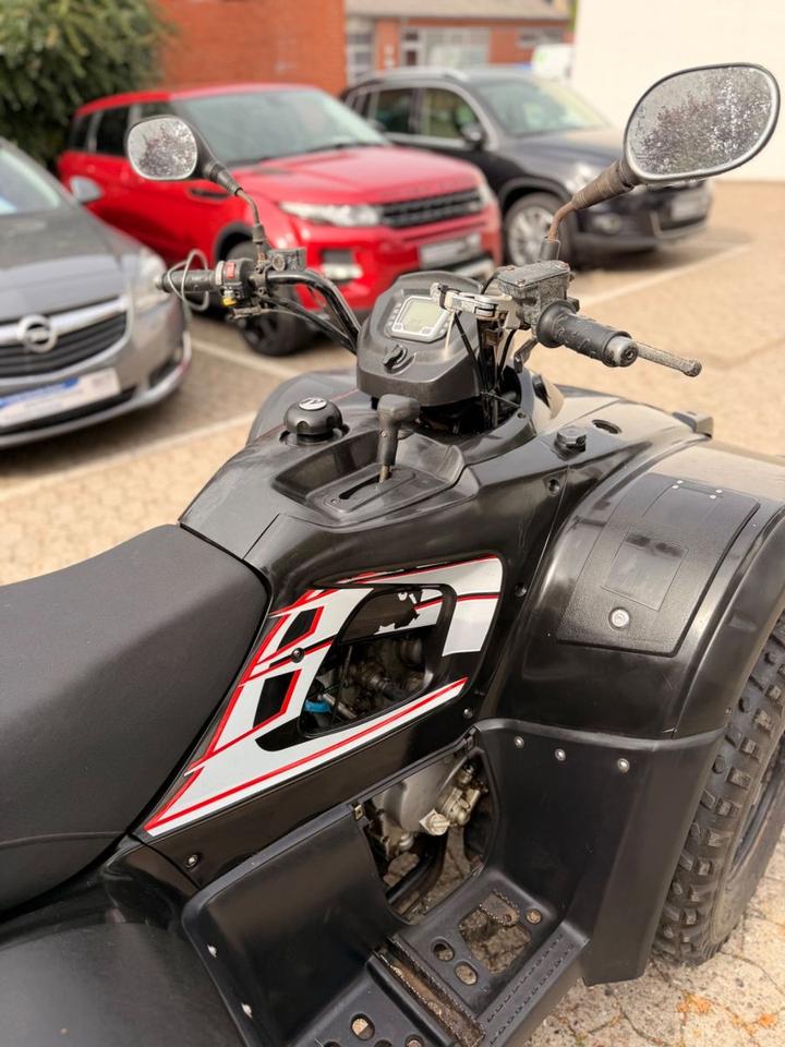 Weitere Motorräder TGB Balde 250 EFI 4x4 AHK*Koffer* Automatik 2009 — photo 6