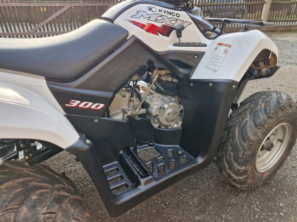 Kymco Gelöscht • Quad Kymco MXU 300 2009 — rear view