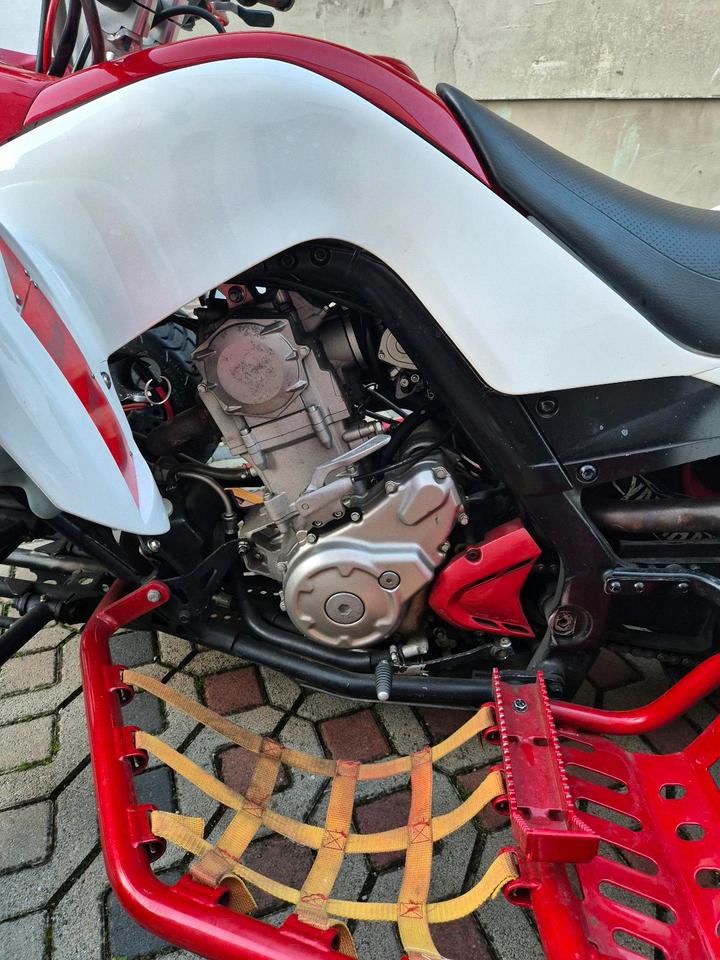 Yamaha Raptor 700R Supermoto | LOF | DMC Auspuff | TÜV 05/2028 2012 — photo 10