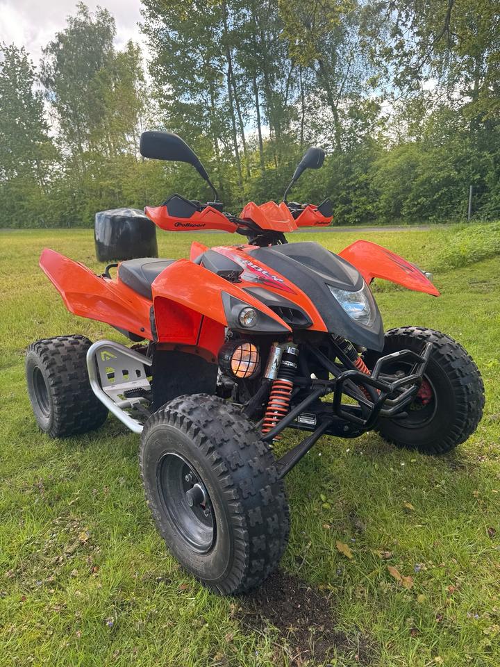  Quad Adly 500s 2013 — rear view