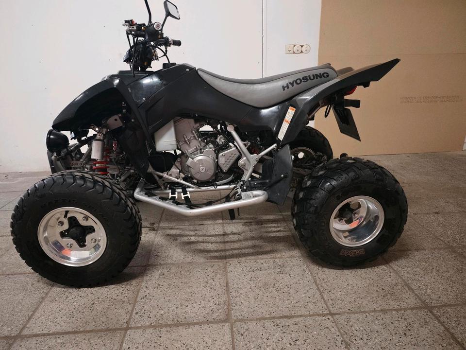 Weitere Motorräder Gelöscht • Hyosung 450 TE LOF Zulassung TÜV NEU | Quad 2008 — rear view
