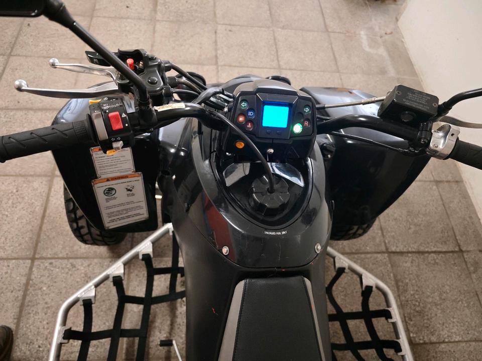 Weitere Motorräder Gelöscht • Hyosung 450 TE LOF Zulassung TÜV NEU | Quad 2008 — photo 7