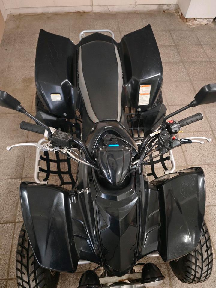 Weitere Motorräder Gelöscht • Hyosung 450 TE LOF Zulassung TÜV NEU | Quad 2008 — photo 8