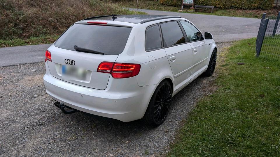 Audi A3 2008 — rear view