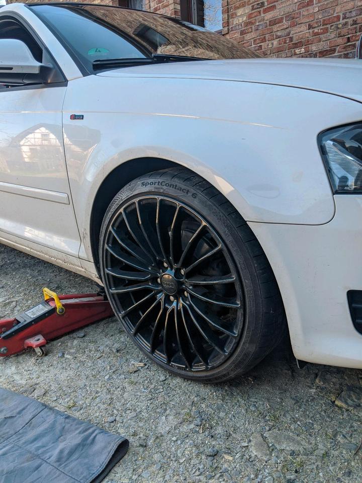 Audi A3 2008 — photo 9